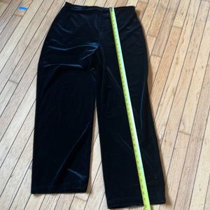Express 🖤 velvet pants size L